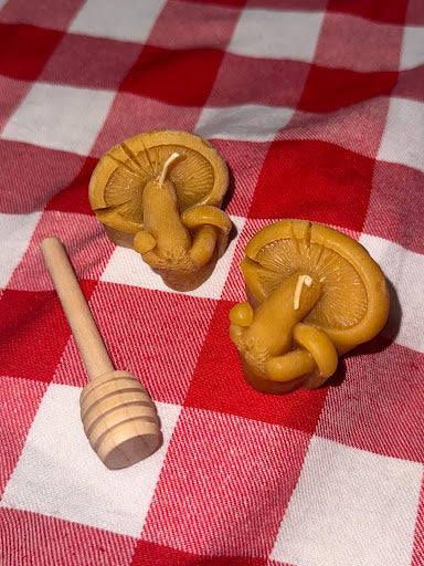 Classic Beeswax Candle